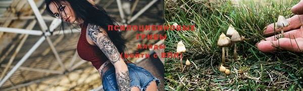 мефедрон мука Гусь-Хрустальный