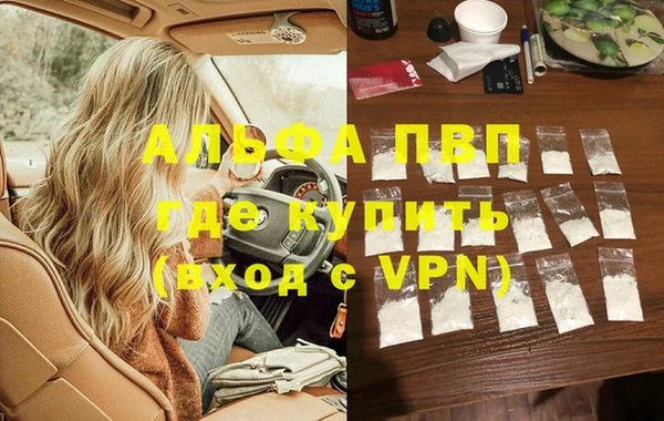 эйфоретик Гусев