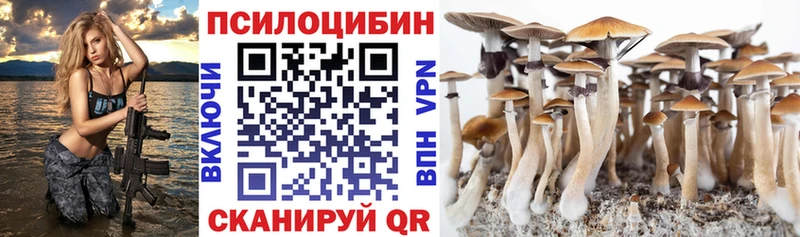 Купить закладки  Кинешма  Галлюциногенные грибы Psilocybine cubensis 